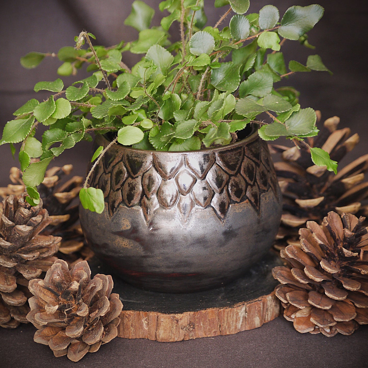 Dragon Scale Pot
