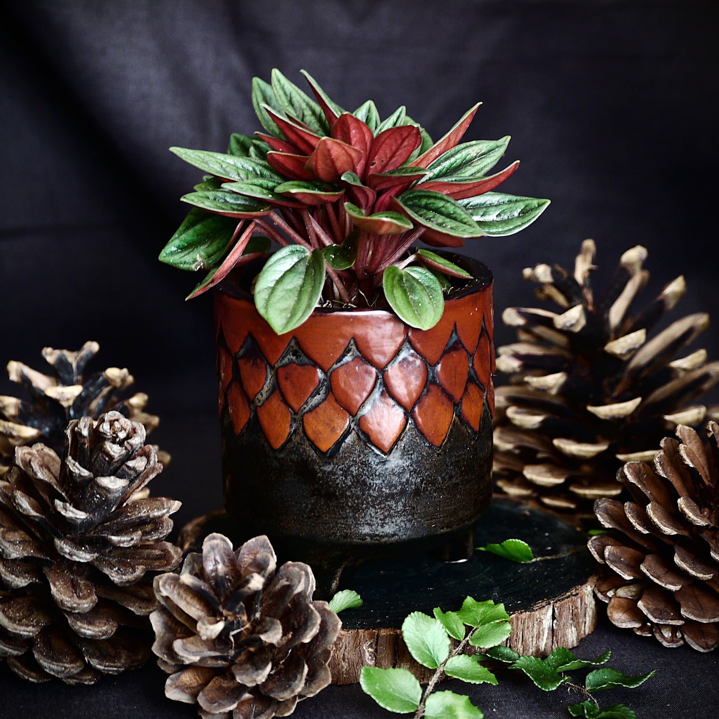 Red & Black Footed Dragon Scale Pot
