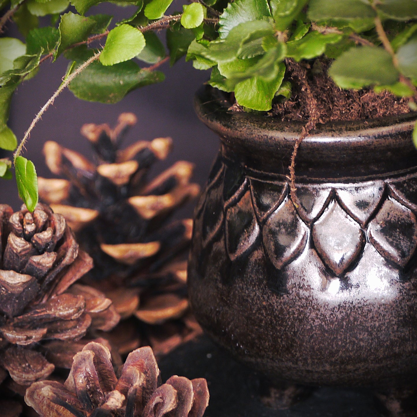 Mini Black Dragon Scale Trinket Pot
